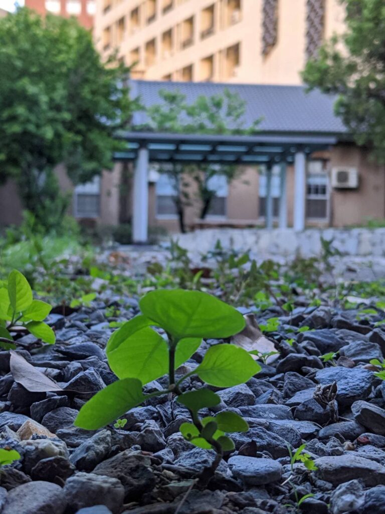 成大資源系照片-20